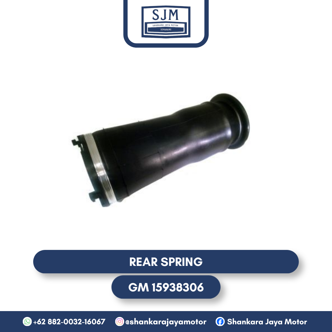 GM 15938306 Rear Spring