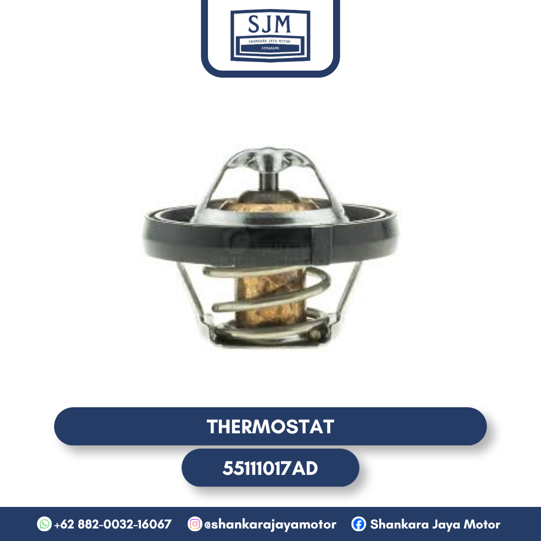 55111017AD Thermostat